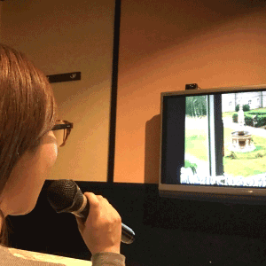 あれっ、音がでない!